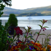Loch Lomond e fiori
